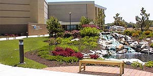 Commercial Landscaping Installations