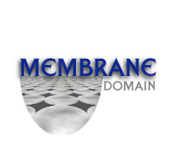 The Membrane Domain
